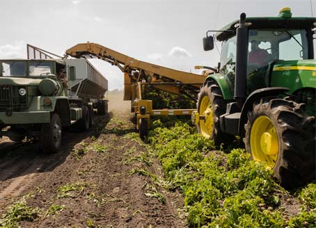 Agriculture, Horticulture and Forestry
