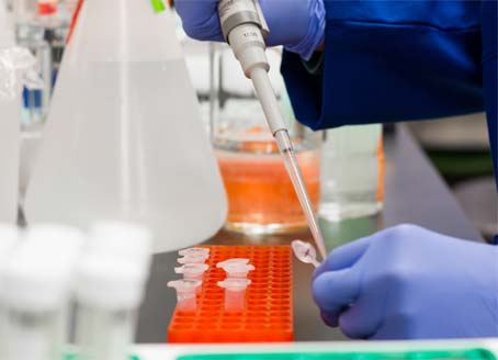 Biological Sciences